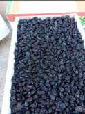 مویز ترکمن۴ بیدانه