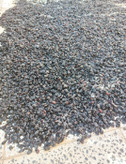 مویز ترکمن۴ بیدانه
