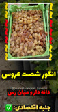 نهال انگور شصت عروس